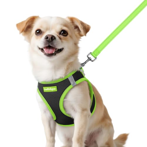 Dog Harness Small Sized and Leash Set (Black & Green / XXS (Chest: 12.4"-14.2"))