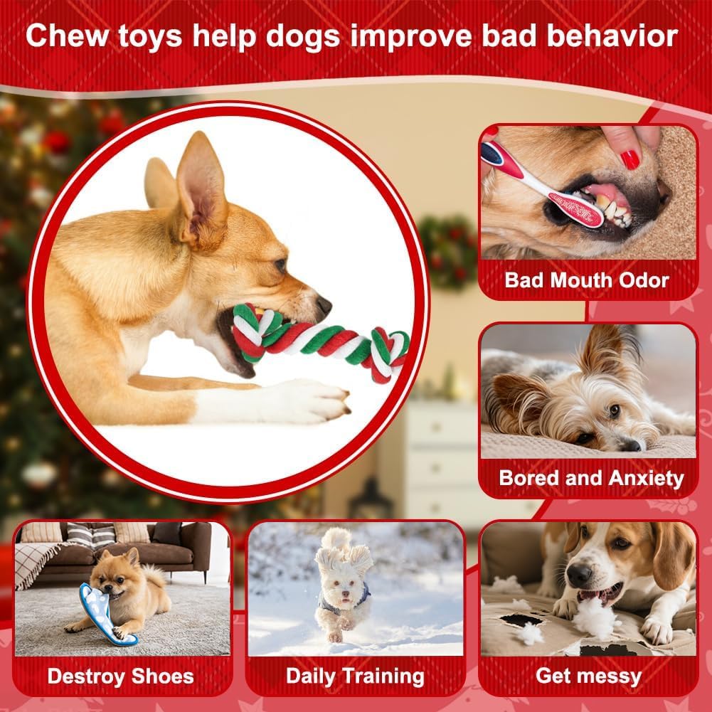 Christmas Dog Rope Toy (Small / Christmas)