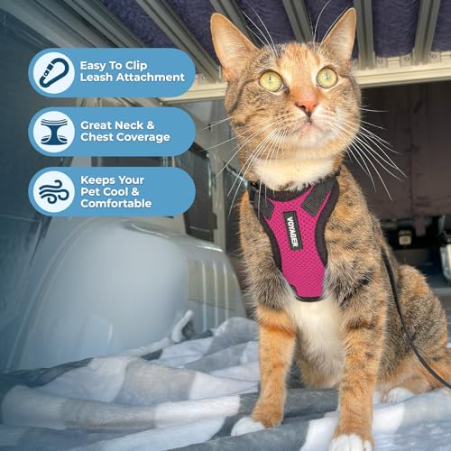 Voyager Step in Lock Cat Harness & Leash Set (Fuchsia/Black Trim / XXS (Chest: 11.5 - 14"))