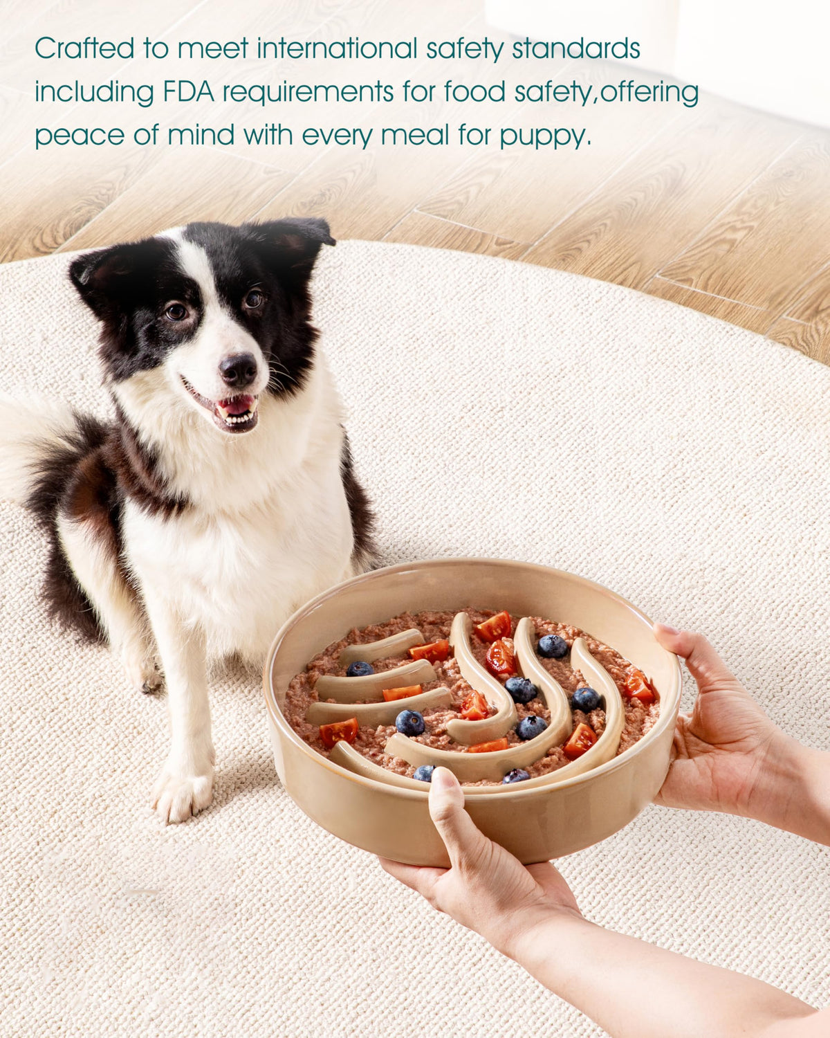 Slow Feeder Dog Bowl (Brown / 3 Cups)