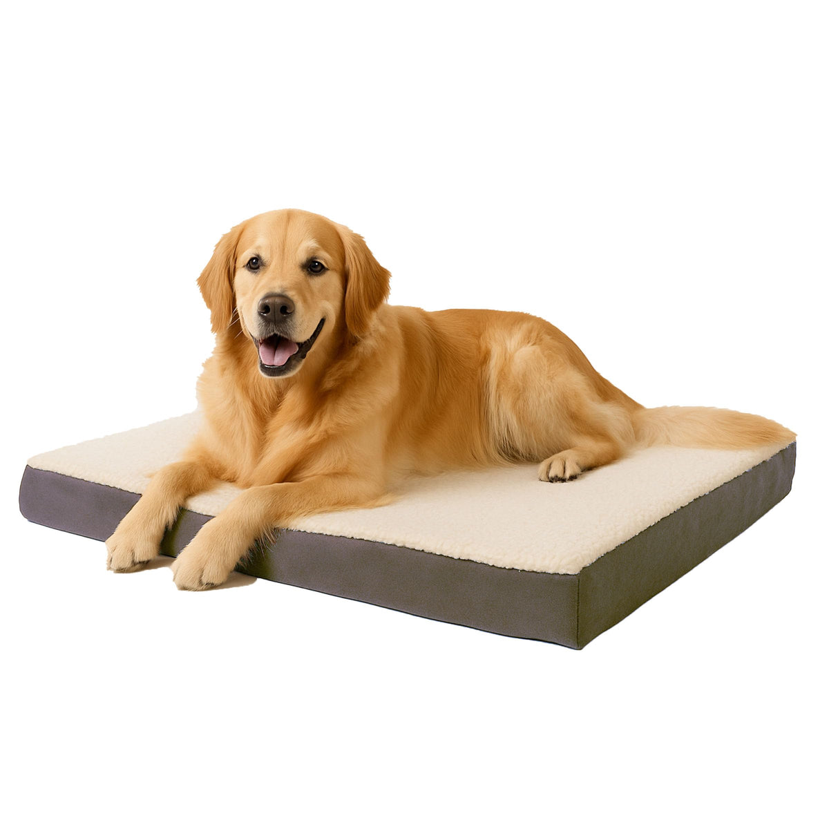 Orthopedic Dog Bed (Gray / Large)