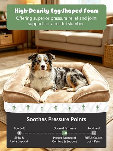 Orthopedic Dog Bed with Sides (35.0"L x 25.0"W x 6.5"Th / Brown)