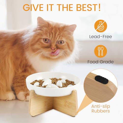 Slow Feeder Cat Bowl Elevated Ceramic with Bamboo Stand (White Fish)
