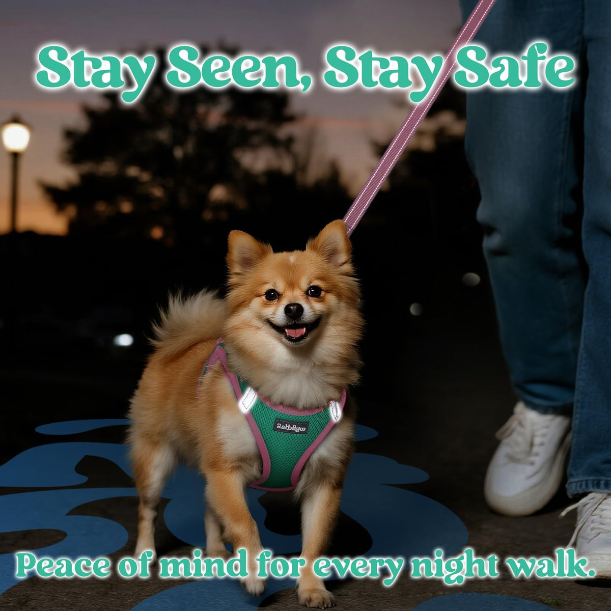 Dog Harness Small Sized and Leash Set (Teal & Pink / XS (Chest: 13.3"-15.5"))