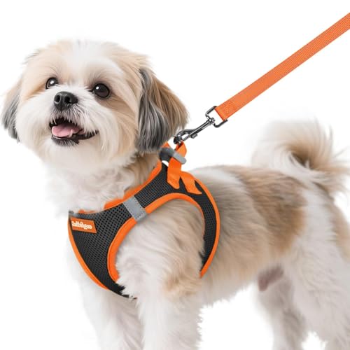 Dog Harness Small Sized and Leash Set (Black & Orange / S (Chest: 15.1"-16.5"))