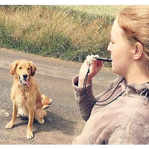 THE Dog Training Whistle Number 211.5 Medium High Pitch (Turquoise)