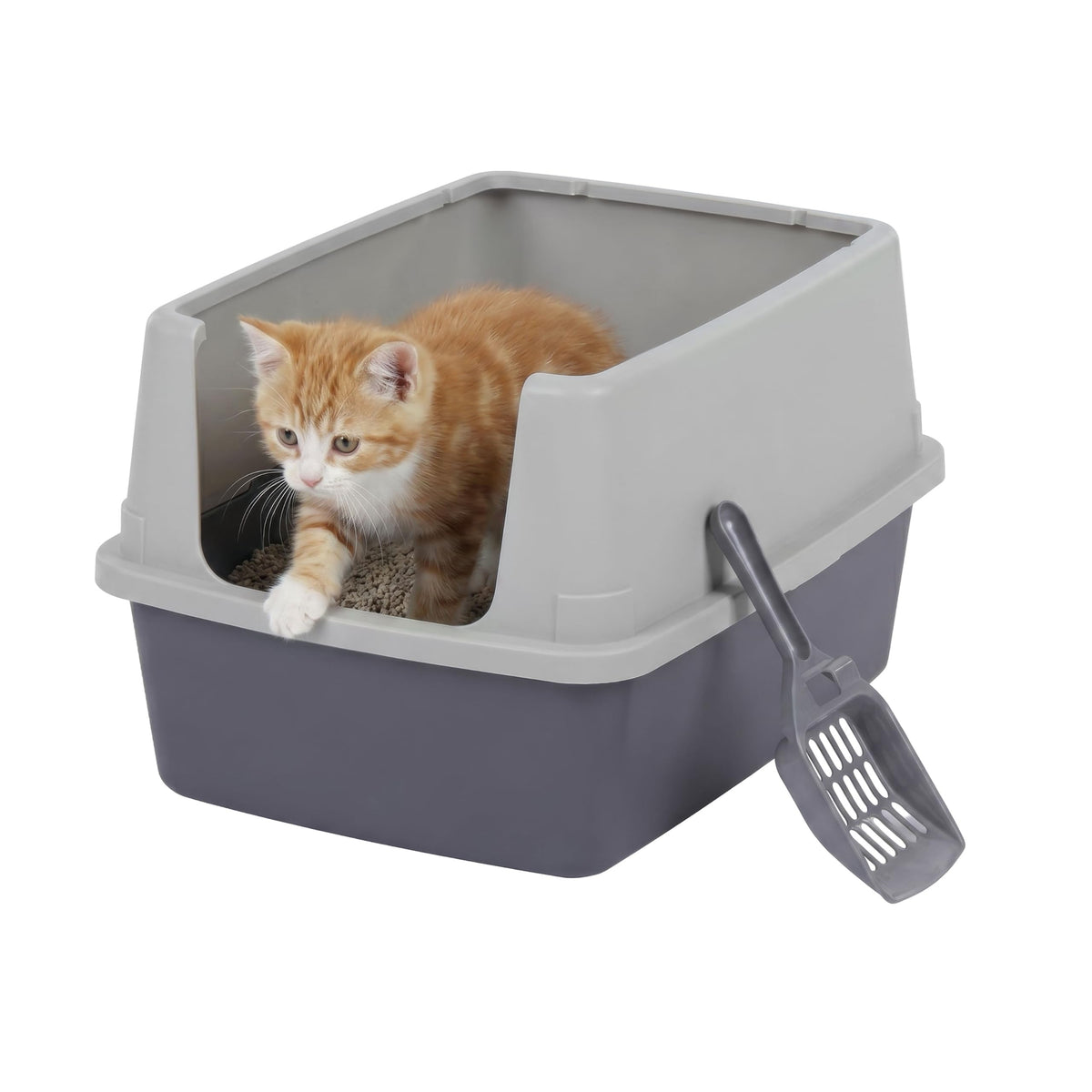 Cat Litter Box Small (Small / Gray)