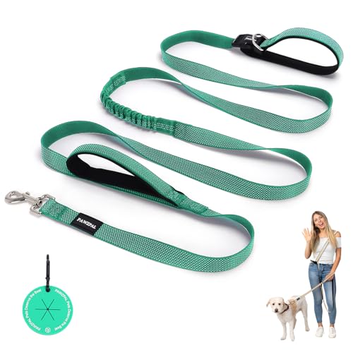 Hands Free Dog Leash (Spring Green / Large (8–10FT))