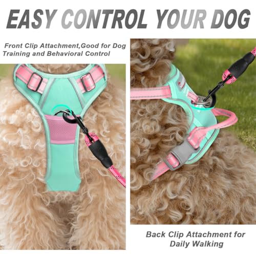 Dog Harness No Pull for Small Sized Dog Front Back Clips (Small(Chest:19.5-26") / Cool Mint & Baby Pink)