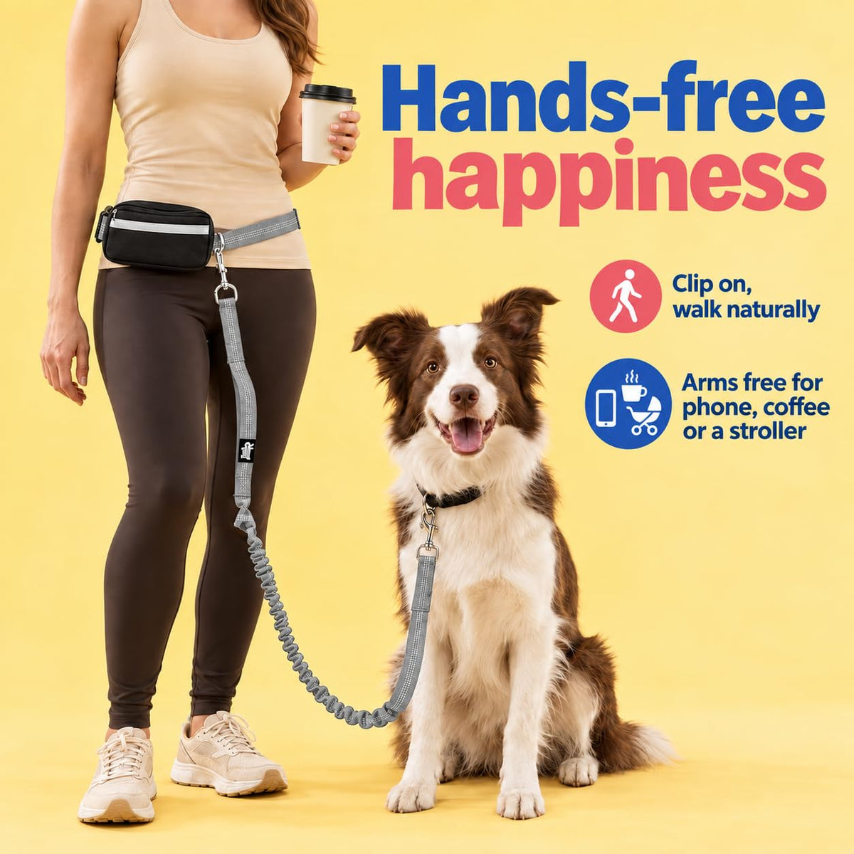 Dog Running Leash Hands Free (Silver)