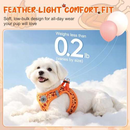 Small Dog Harness and Leash Set (Medium(Chest Girth 16" - 18") / Autumn)
