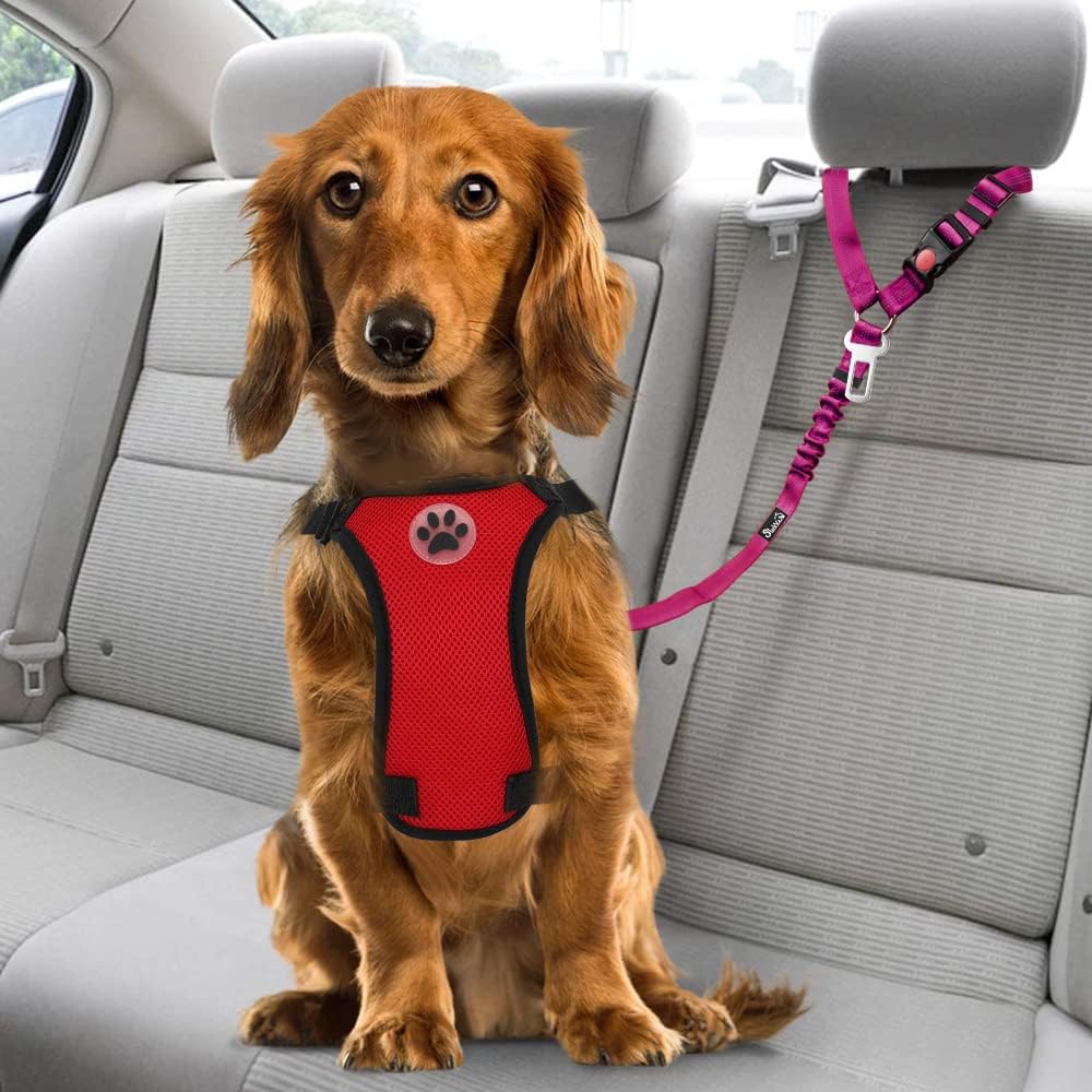 Dog Seat Belt for Car (I.Fushia)