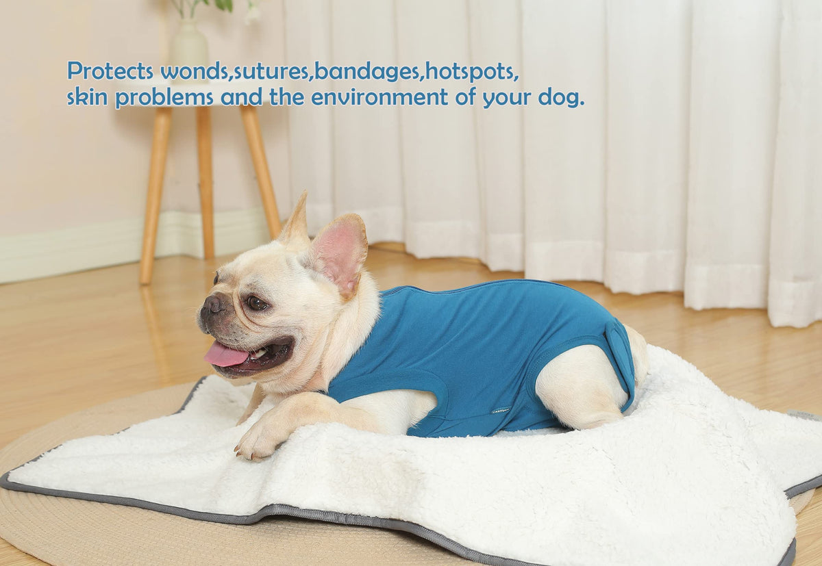 Dog Surgery Recovery Suit (XS(Back 8 - 10" Chest 12 - 14" Weight 4 - 8lb) / Blue)