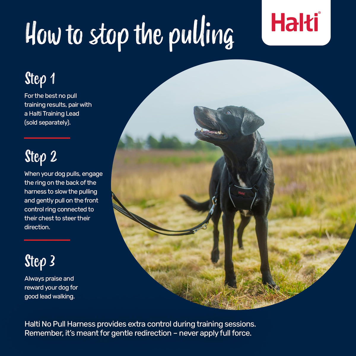 Halti No Pull Dog Harness (Black / S)