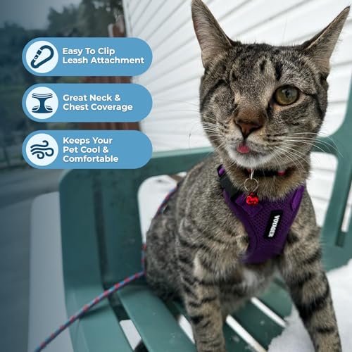 Voyager Step in Lock Cat Harness & Leash Set (Purple / XXXS (Chest: 10.5 - 13"))