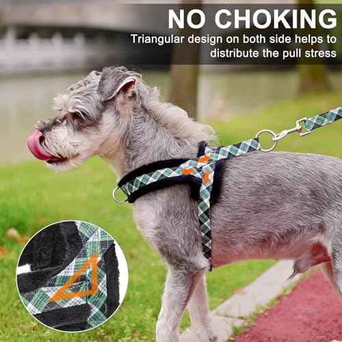 No Pull Small Dog Harness and Leash Set (Green_Velvet / M: Chest 21"-26.7")