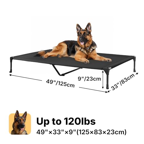 Cooling Elevated Dog Bed (49.0"L x 33.0"W x 9.0"Th / Black)