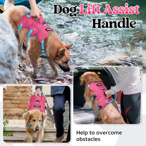 Escape Proof Dog Harness for Medium (Sky & Peach & Rose / Medium)