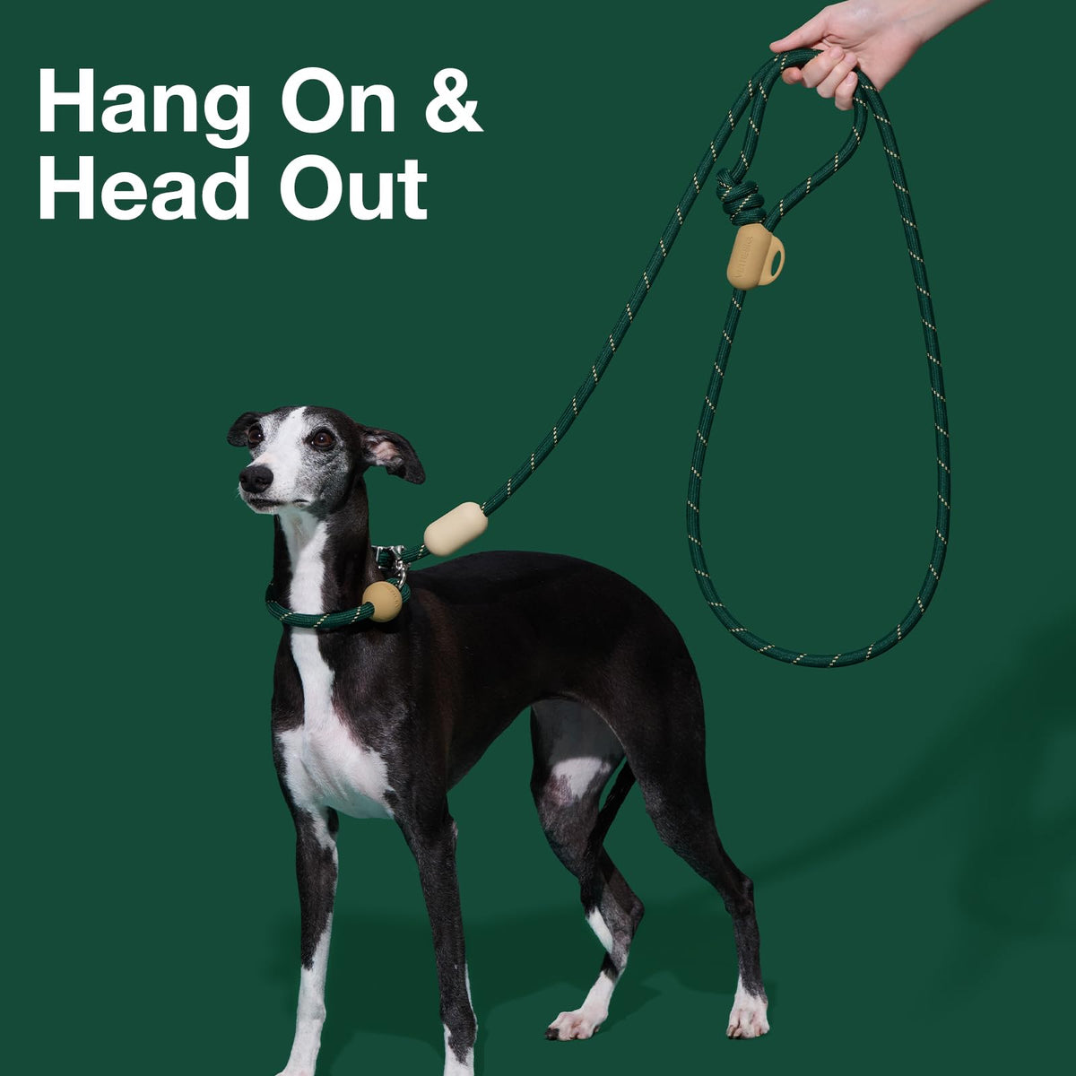 Hands Free Dog Leash (Santal Forest Green)