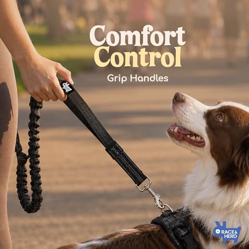 Dog Running Leash Hands Free (Onyx)