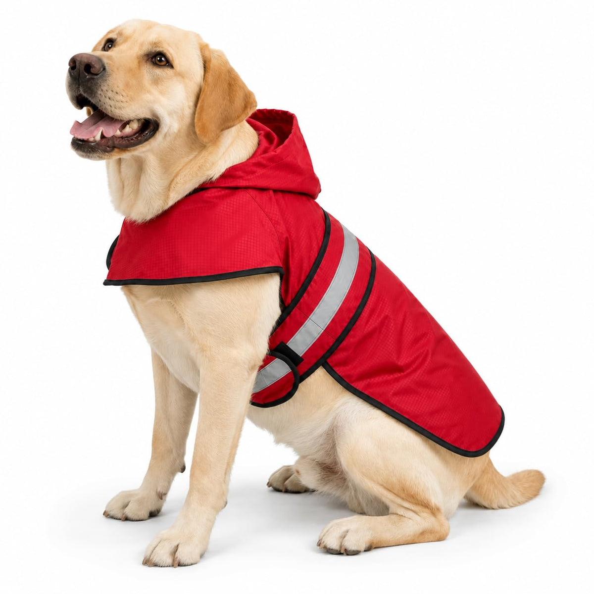 Dogg Toggs Raincoat (Red / Large)