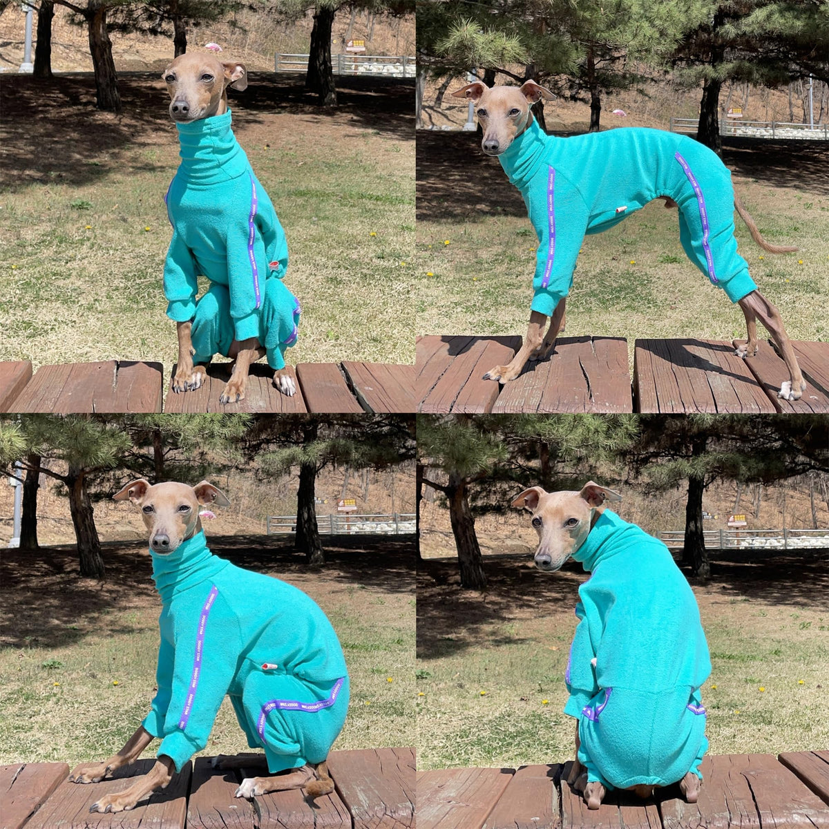 D Doggy Star Italian Greyhound Clothes Stretchy Towel Sports Onesie Outfit Whippet for Dog Coat (S / Towel Turquoise)