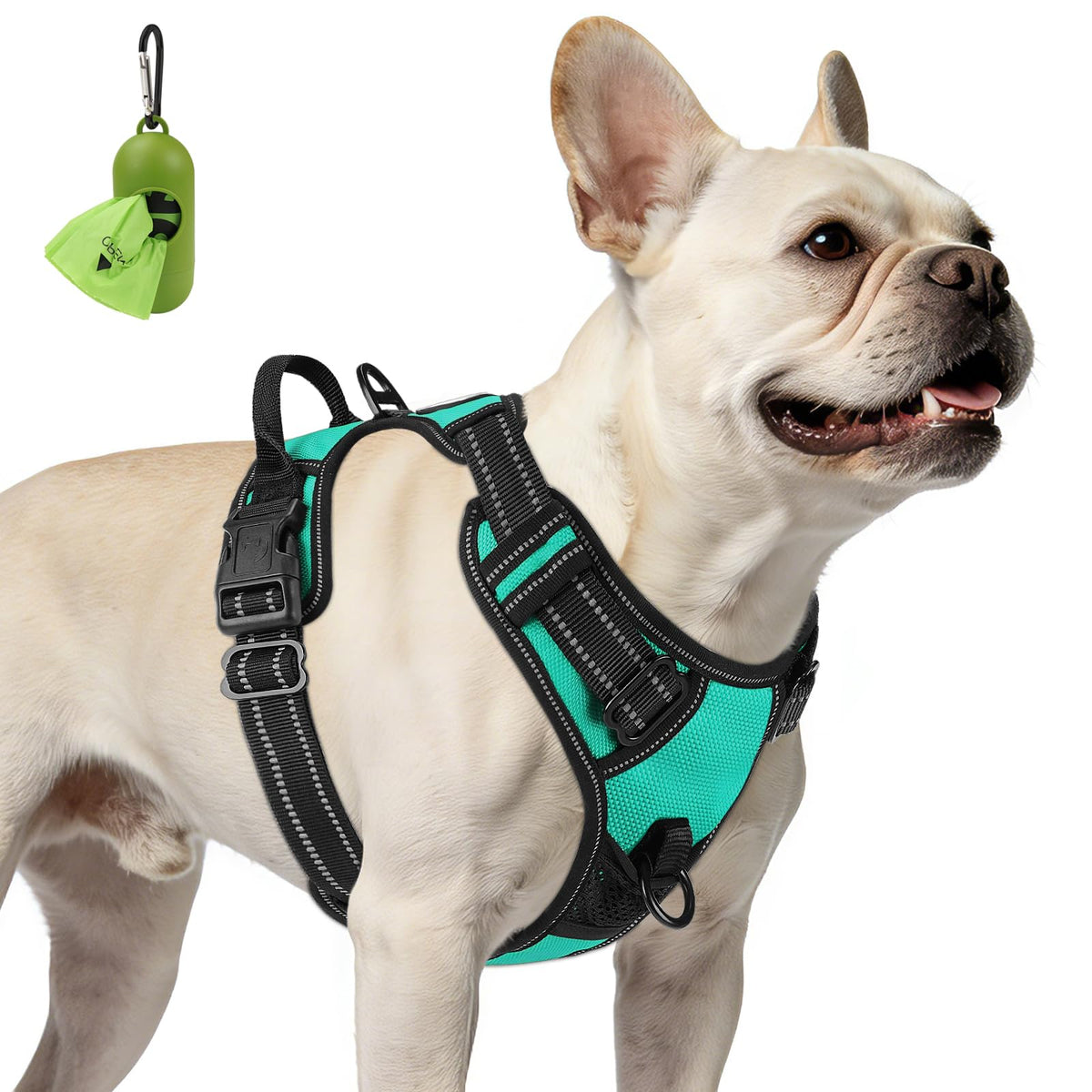 No Pull Dog Harness for Small Dogs (Small / Teal)