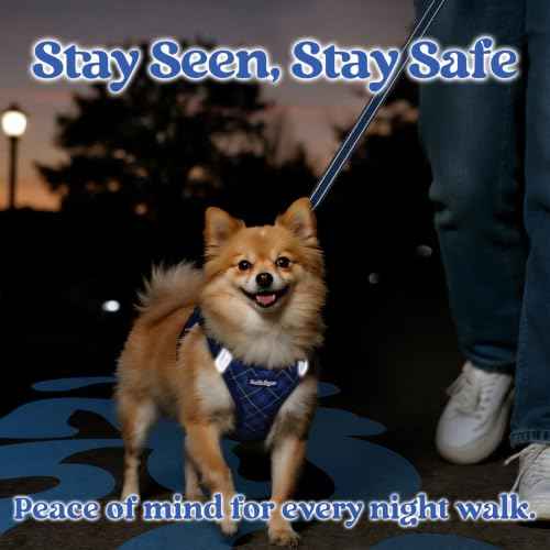 Dog Harness Small Sized and Leash Set (Navy Blue Plaid / M (Chest: 16.0"-18.5"))