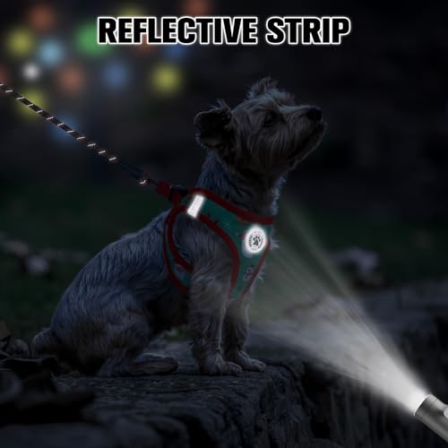 Step in Dog Harness and Leash Set (Small(Chest Girth 14.5" - 16") / Christmas)