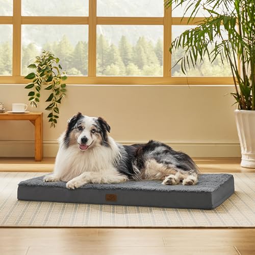 XL Dog Bed for Crate (41"L x 27"W x 3"Th / Dark Grey)