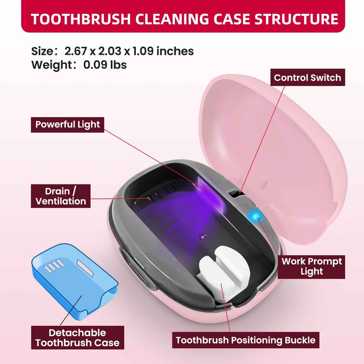 Toothbrush Cleaner Case (Pink)