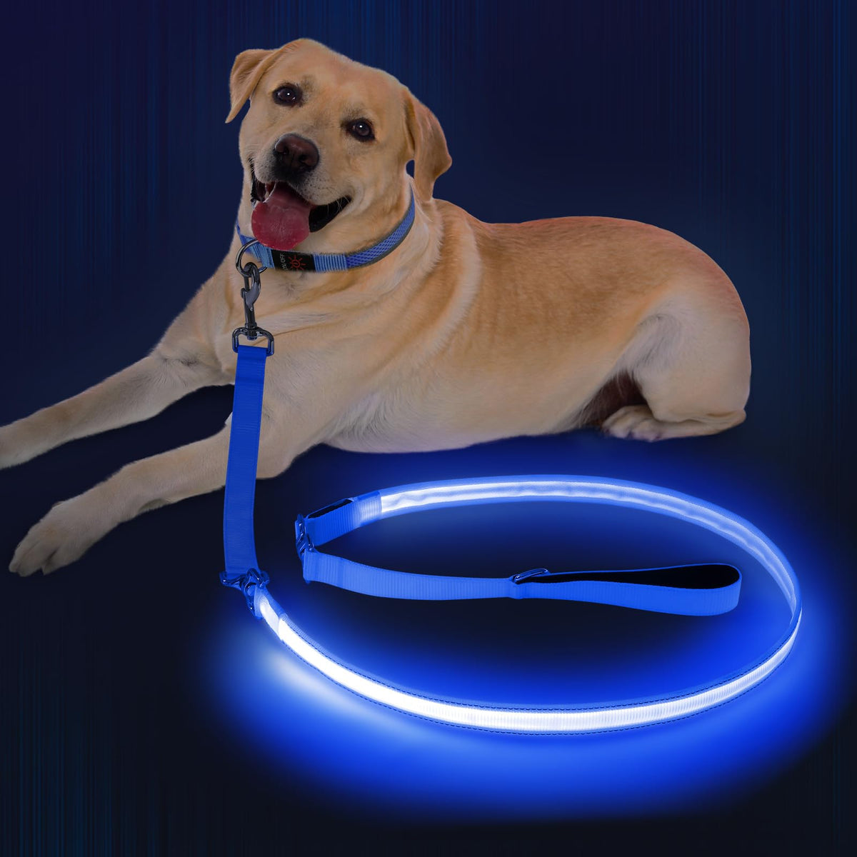 LED Light Up Dog Leash (Blue / 6Ft(Three-section))