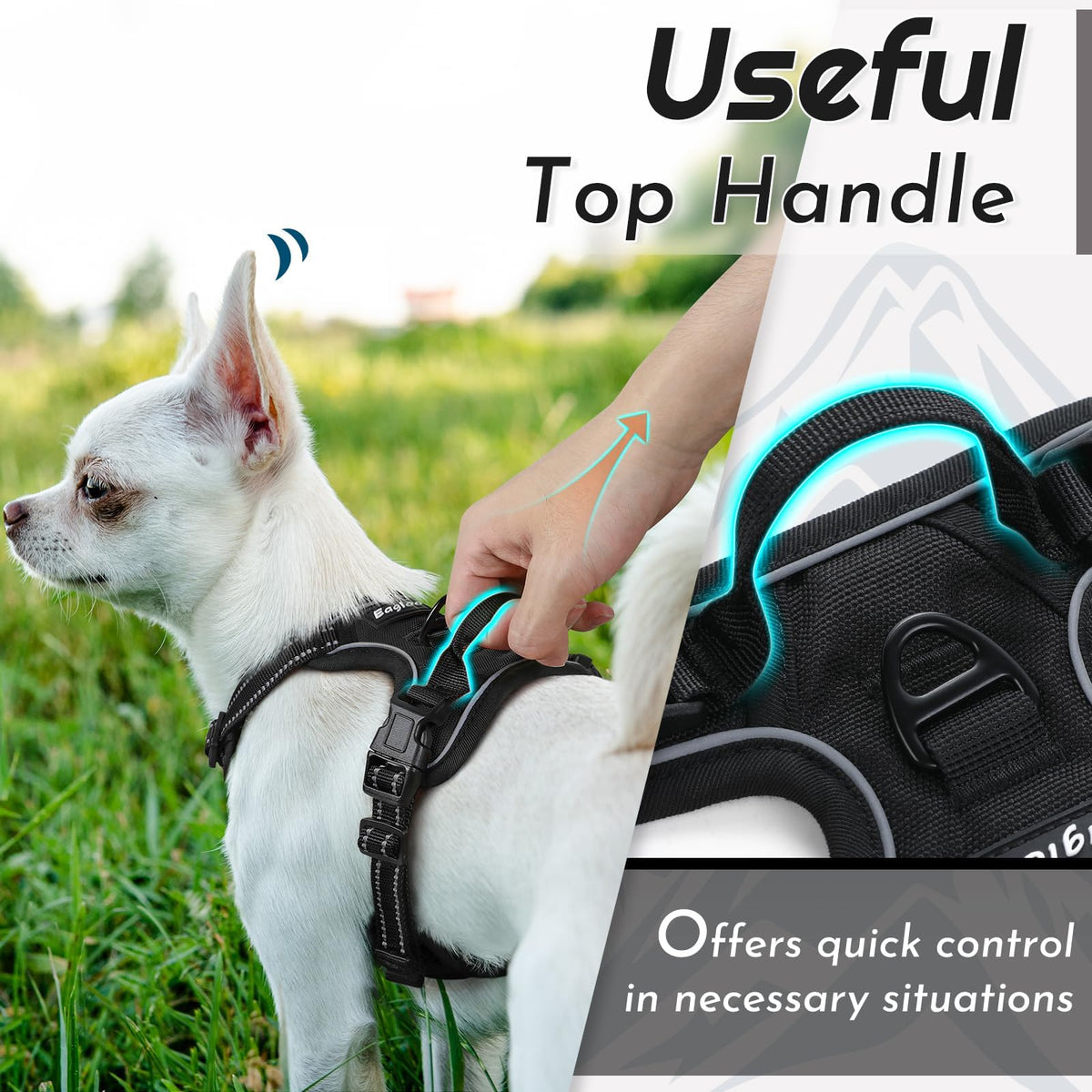 Dog Harness for Small Dogs (X-Small / Black)