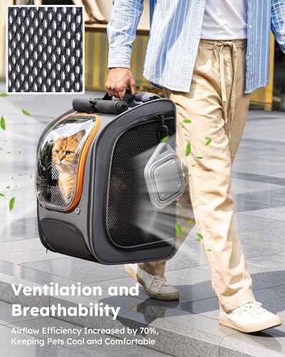 Cat Backpack Carrier (Gray-on-Gray Color Blocking / 12.6"L x 10.2"W x 16.5"H)