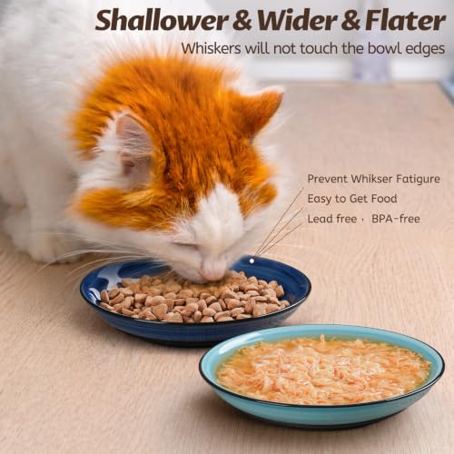Cat Food Bowl (Spiral-4 Pack)