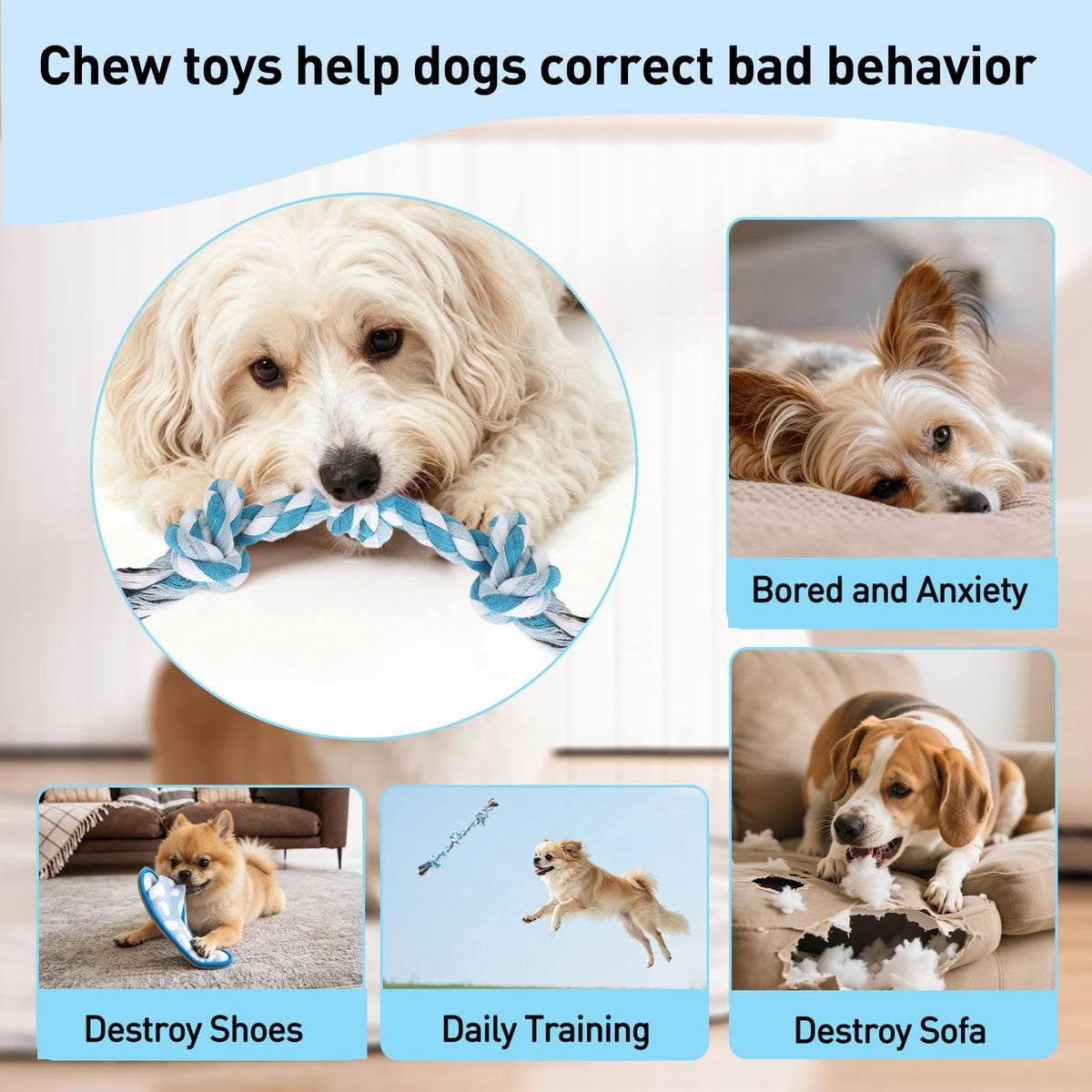 Dog Rope Toy 2 (Small / Blue & Green)