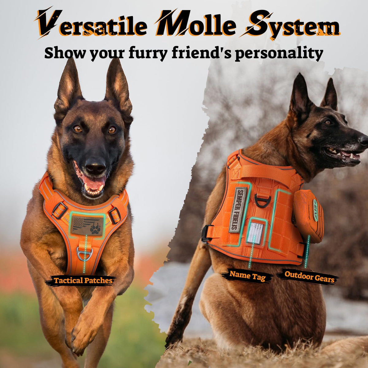 Tactical Dog Harness Medium Sized (M(chest:20.1"-33.9",neck:17.7"-22.3",back:7.5") / Orange)
