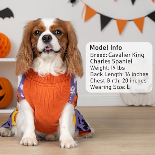 Dog Halloween Sweater for Small Medium Dog Pumpkin Ghost Knit Outfit (X-Large (19-27lbs) / 02#Halloween)