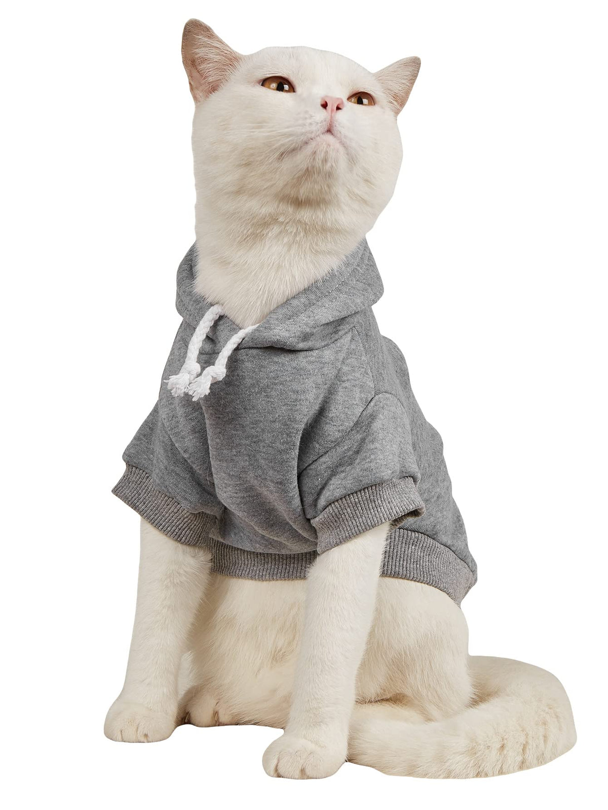 Basic Dog Hoodie Sweatshirt Puppy Sweater Warm Cat Costumes Pet Clothes for Chihuahua Puppy Kitten Small Medium Dogs Light Grey Medium (Medium / Light Grey)
