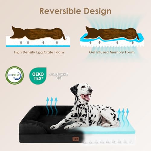 Orthopedic XXL Dog Bed (Black / 46.0"l X 35.0"w X 7.5"th)
