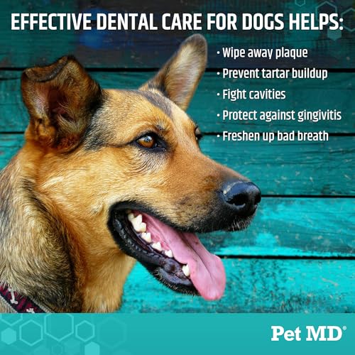 Pet Dental Finger Wipes for Dogs (50 Count (Pack of 1))