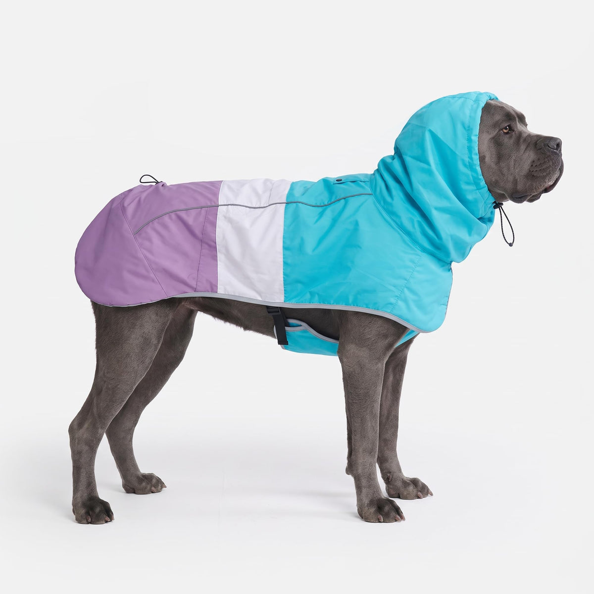 Dog Raincoat Waterproof Rain Jacket w (Aqua White Purple / 4XL)