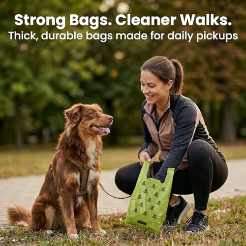 Pogi's Large Dog Poop Bags with Handles (1 Count (Pack of 300) / Scented)