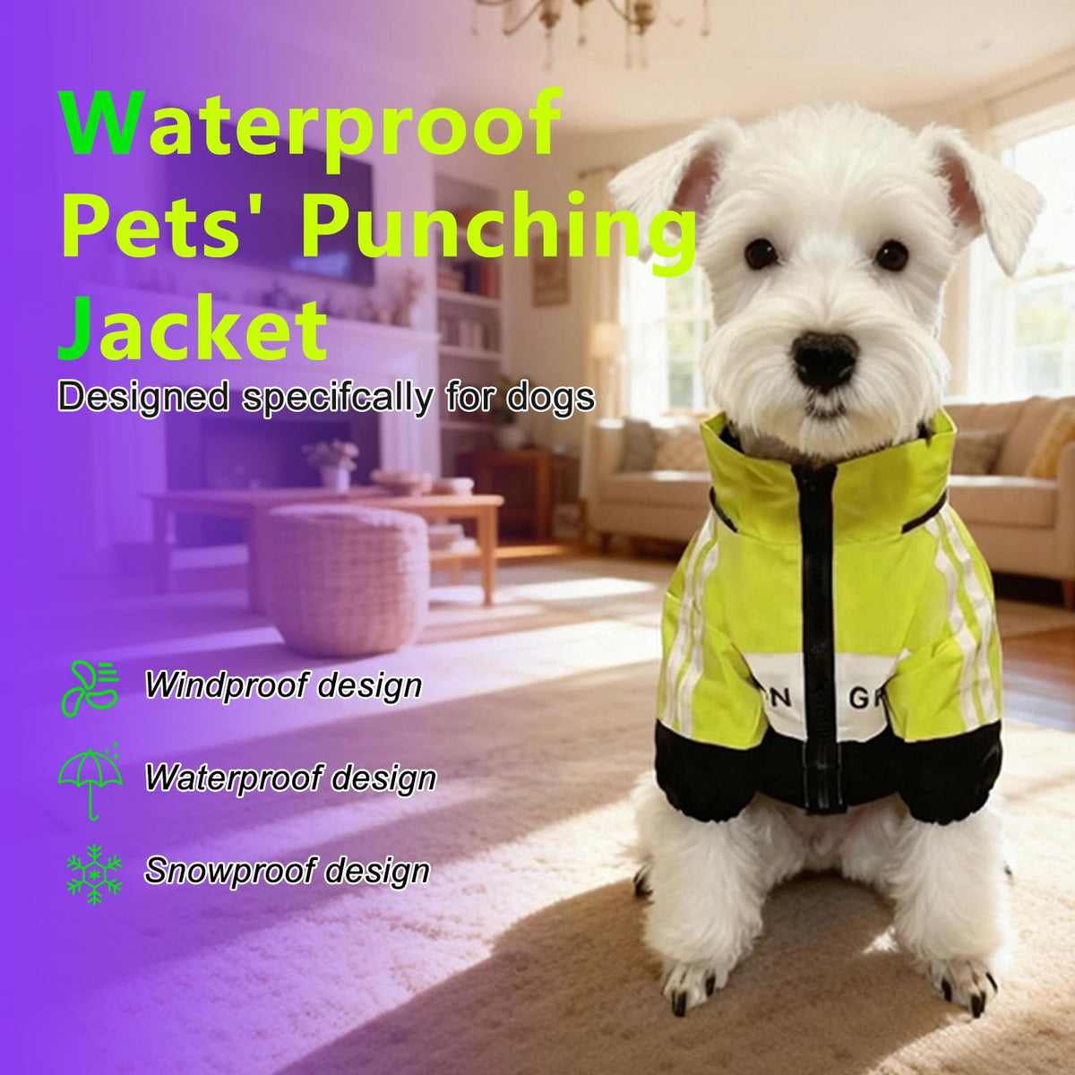 Small Dog Raincoat (Green / Small (5-7Ibs))