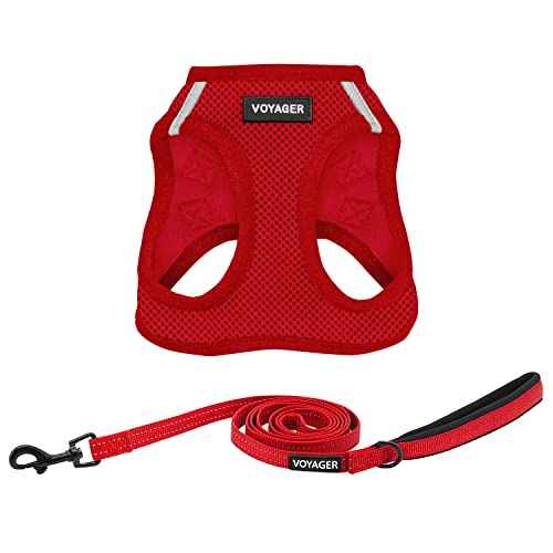 Voyager Step in Air All Weather Mesh Harness and Reflective Dog 5ft Leash Combo with Neoprene Handle (Harness Leash Set (Red) / M (Chest: 16 - 18"))
