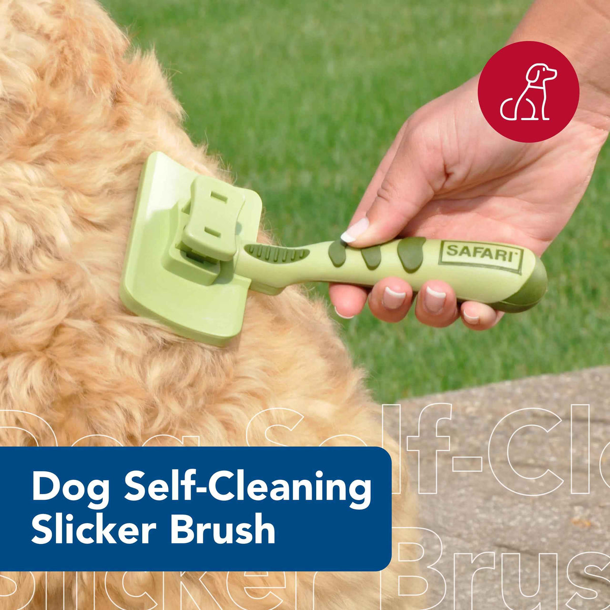 Pet Safari Dog Self (Small)