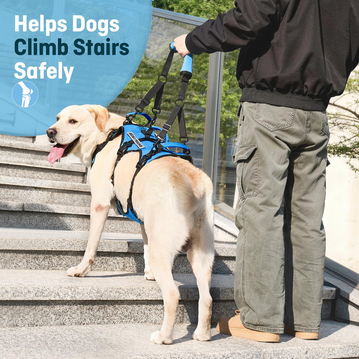 Dog Lift Harness for Large Dogs (Blue / X-Large)