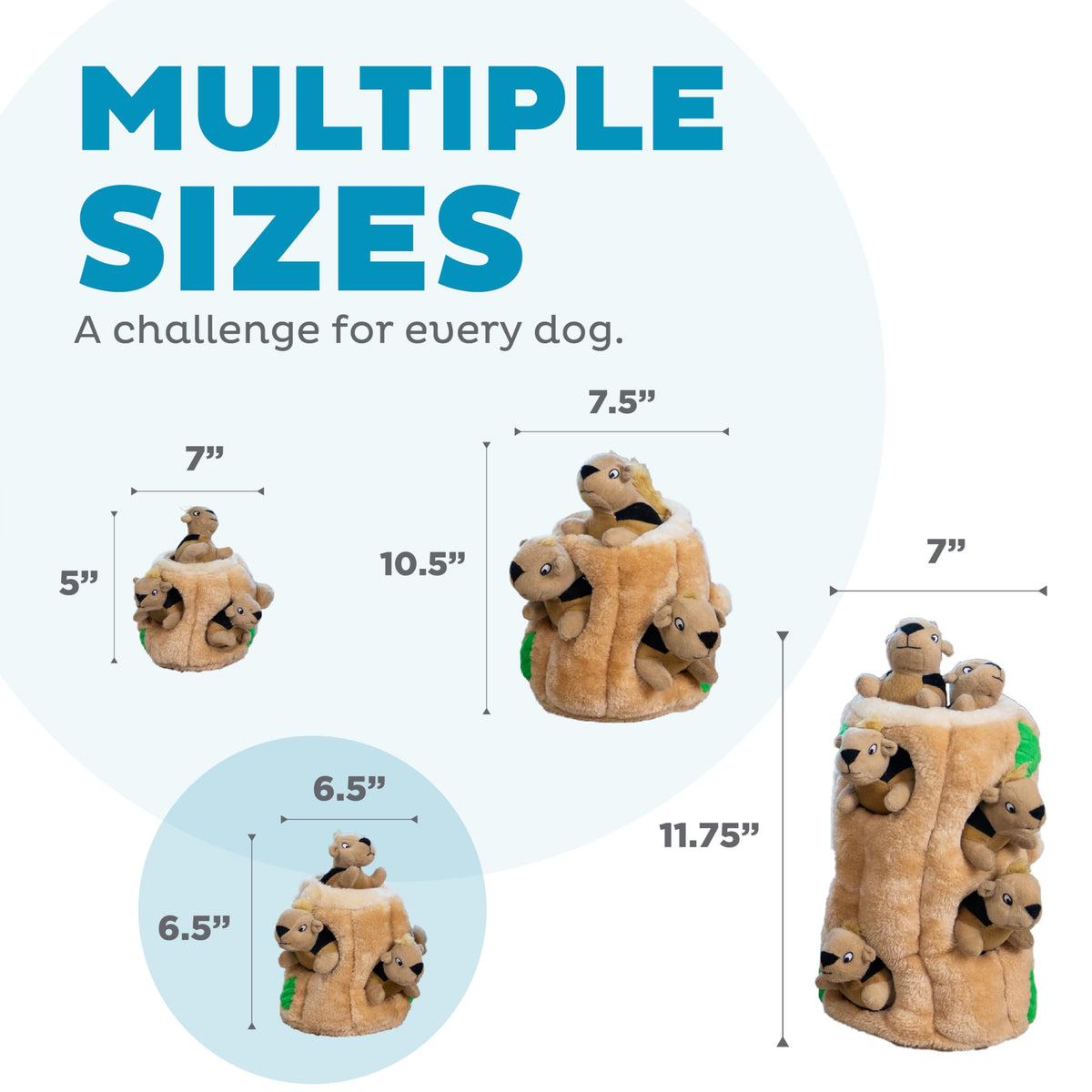 Hide-A-Squirrel Plush Squeaky Dog Toy, Medium, 6.5" x 6.5"
