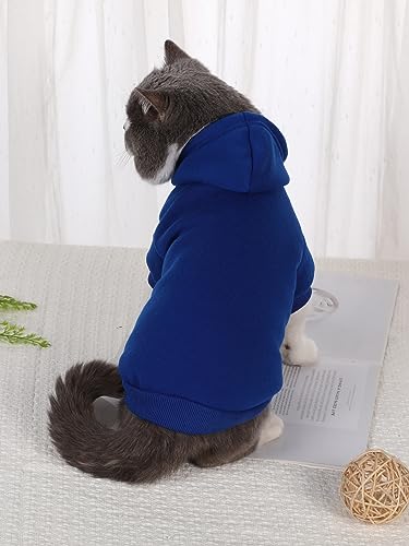 QWEEE Basic Dog Hoodie (Small / Royal Blue)