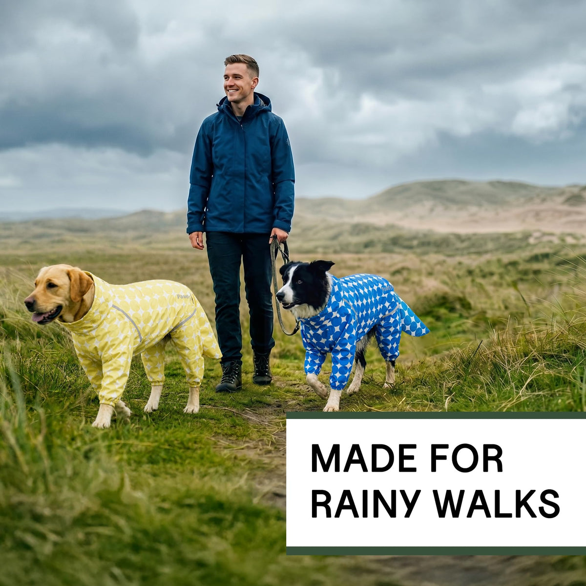 Polka Dot Dog Raincoat (Orange / X-Large)